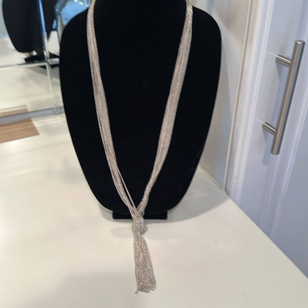 Long silver necklace- statement piece!